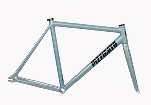 PIZZ T1 Chameleon Silver   FRAMESET