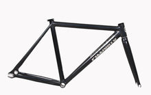 Load image into Gallery viewer, PIZZ T1 Chameleon Silver   FRAMESET