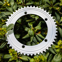 Load image into Gallery viewer, Alter Cycle Vinyl Chainring 7075 CNC Chainring